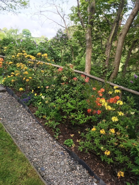 Llanrhaeadr Ym Mochnant Gardens